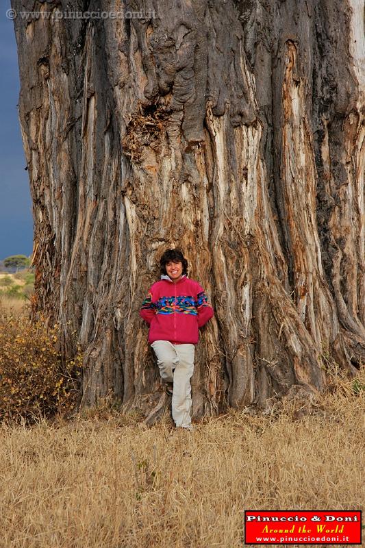 TANZANIA - Tarangire National Park - 50.jpg